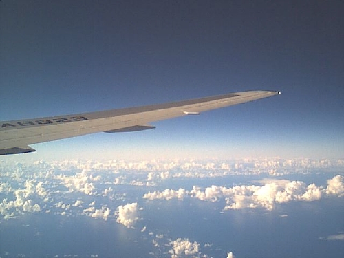 Wing.jpg